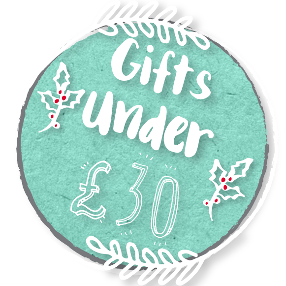 Christmas Gifts Under £30