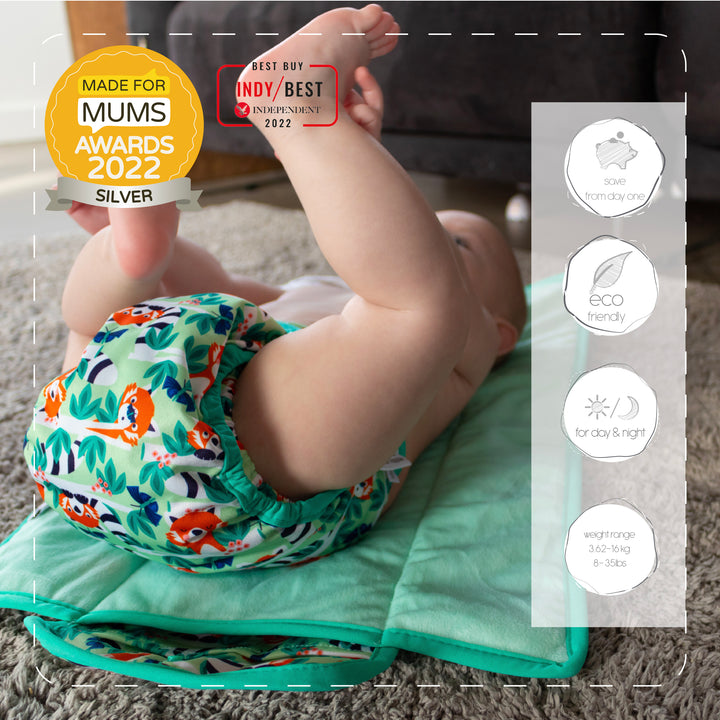 Littles & Bloomz, Reusable Pocket Cloth Nappy, Fastener: Popper, Set Of 1, Pattern 67, Without Insert